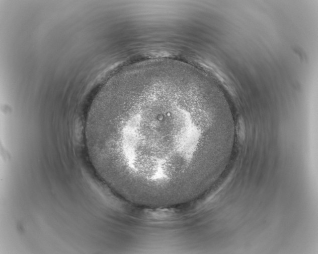 X0000090720359200708101558