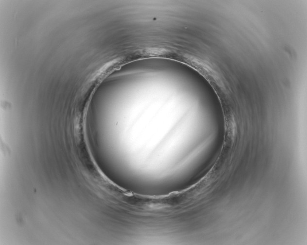 X0000090720360200708101558