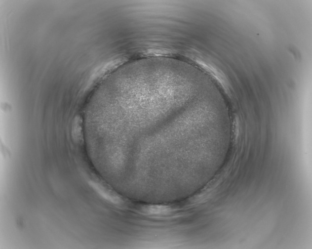 X0000090720361200708101558