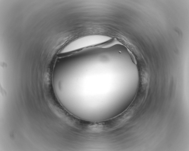 X0000090720362200708101558