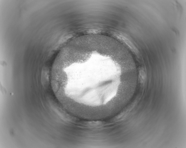 X0000090720363200708101558