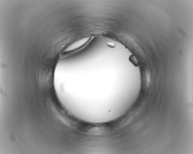 X0000090720364200708101558