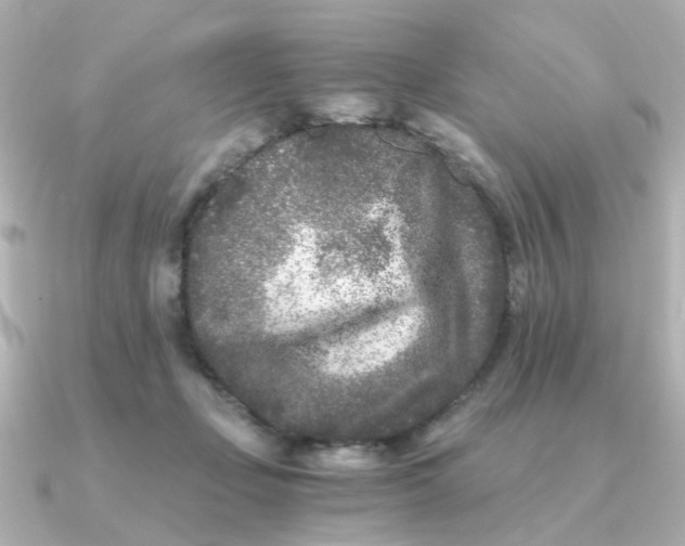 X0000090720365200708101558