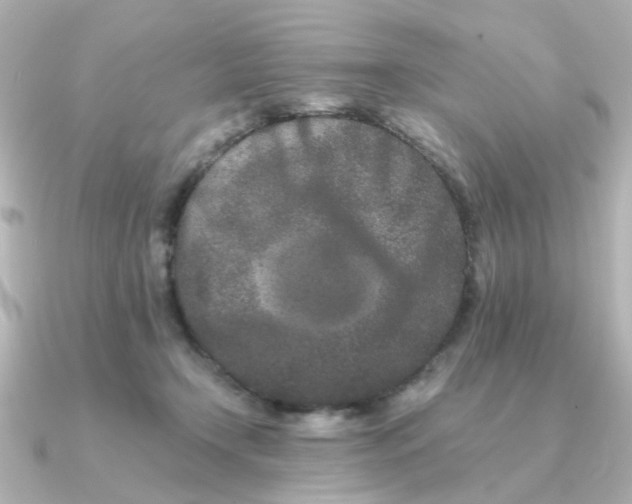 X0000090720366200708101558