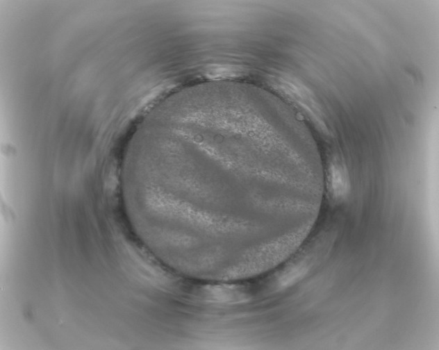 X0000090720367200708101558