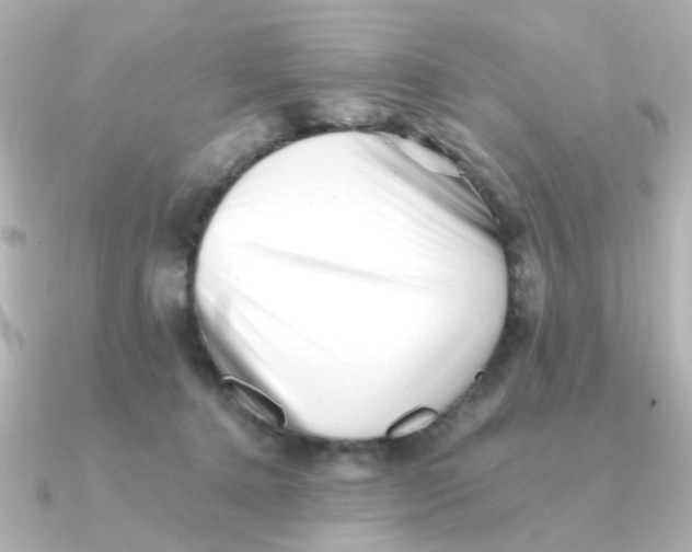 X0000090720368200708101558