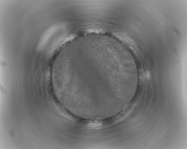 X0000090720369200708101558