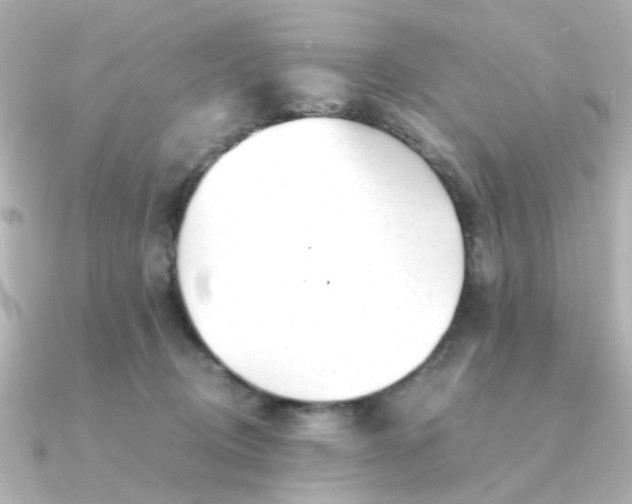 X0000090720370200708101558