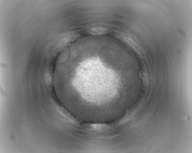 X0000090720371200708101558