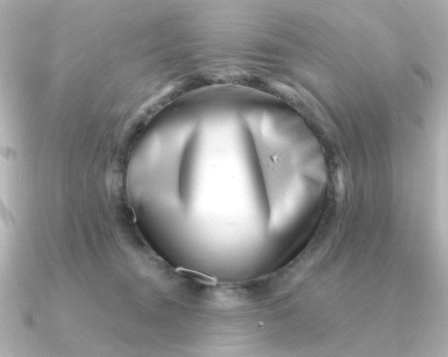 X0000090720372200708101558