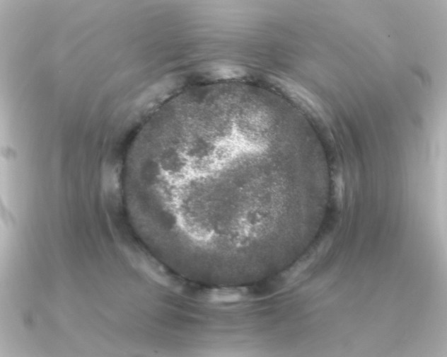 X0000090720373200708101558