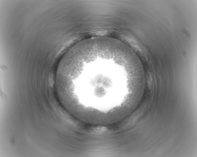 X0000090720374200708101558