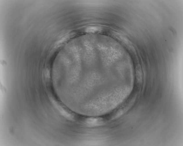 X0000090720375200708101558