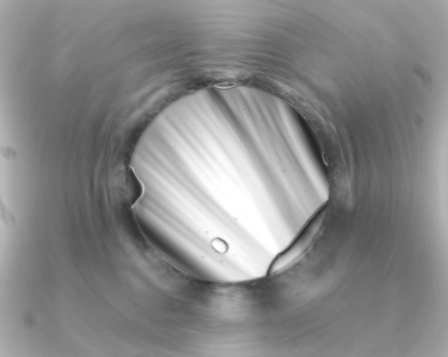 X0000090720376200708101558