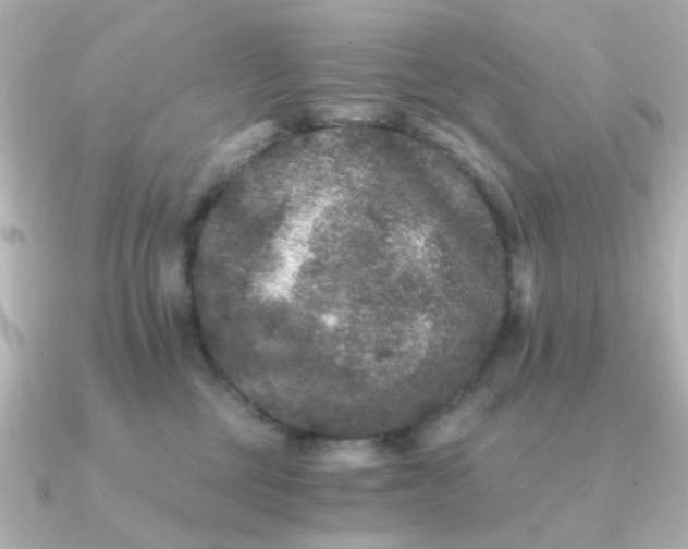 X0000090720377200708101558