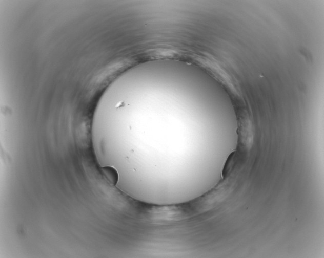 X0000090720378200708101558