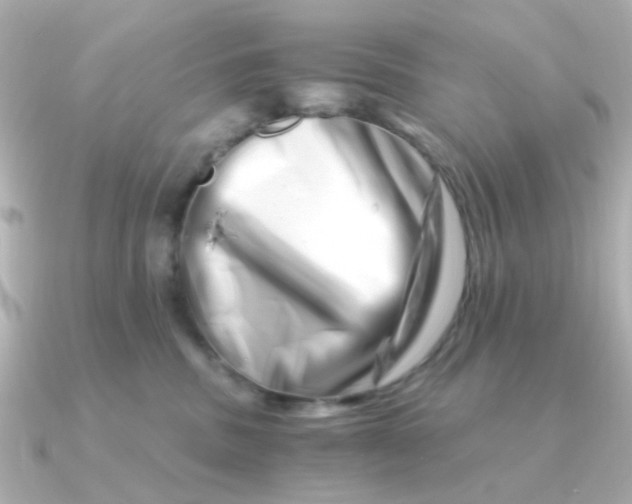 X0000090720379200708101558