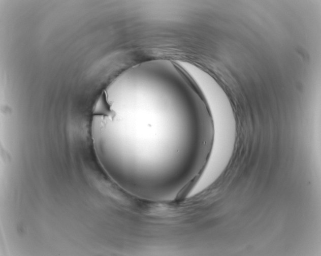 X0000090720380200708101558