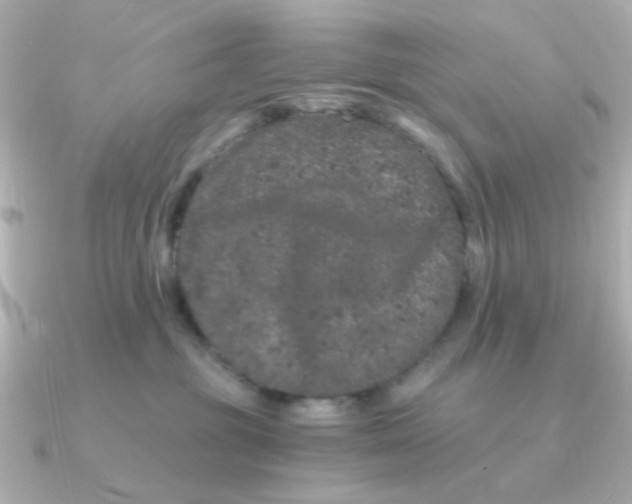 X0000090720381200708101558