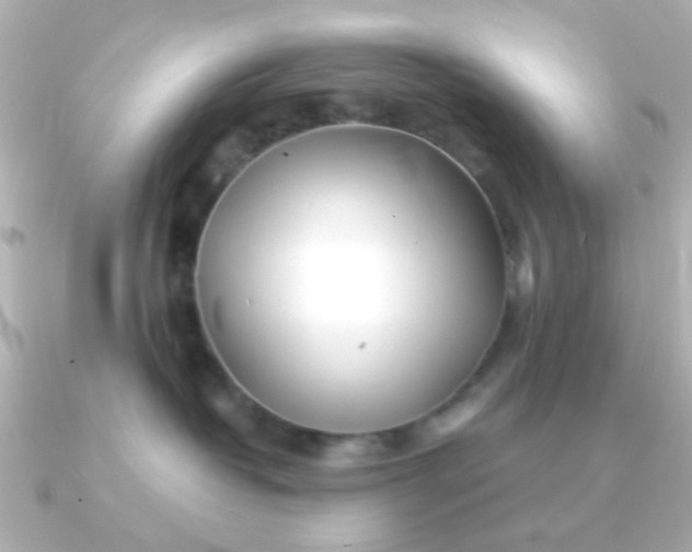 X0000090720382200708101558