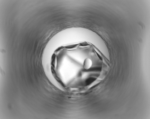 X0000090720384200708101558