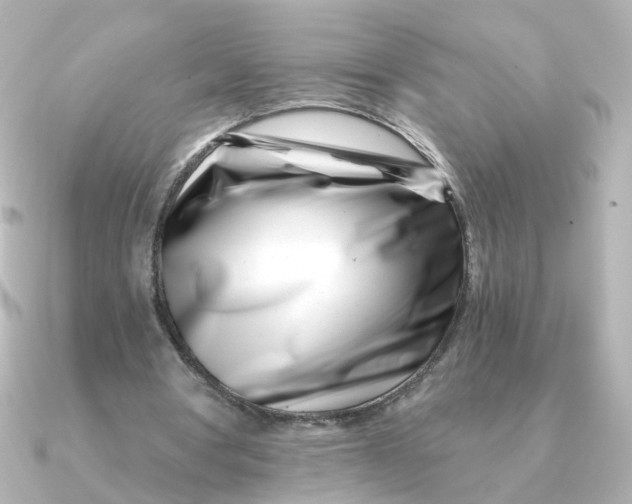 X0000090720386200708101557