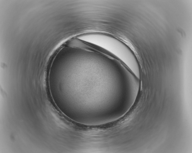 X0000090720387200708101557