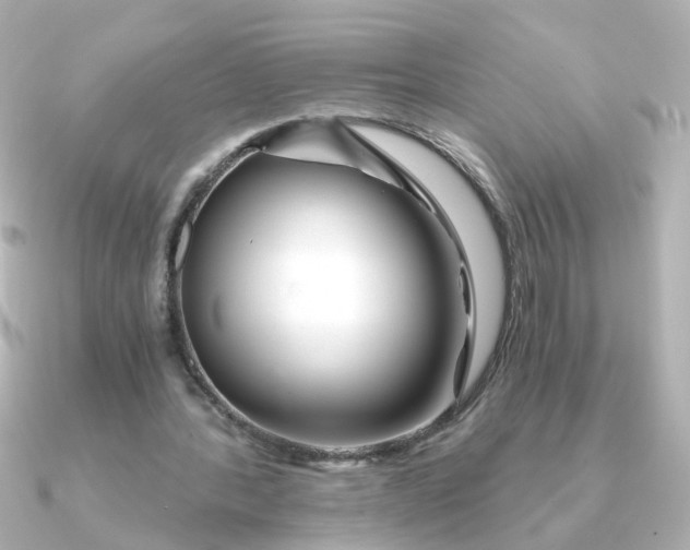 X0000090720388200708101557