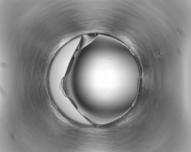 X0000090720389200708101557