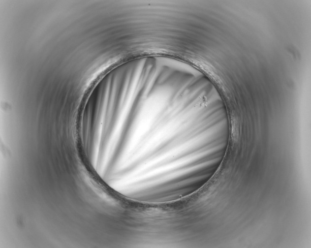 X0000090720390200708101557