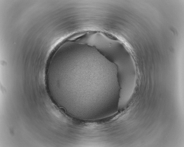 X0000090720391200708101557