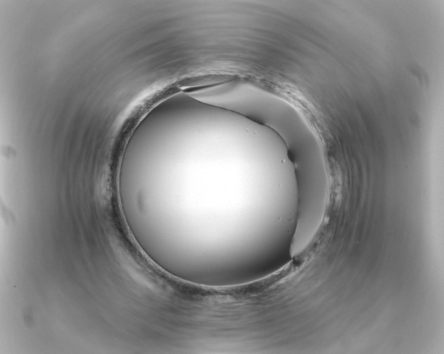 X0000090720392200708101557