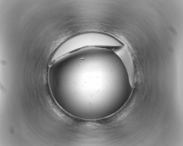 X0000090720393200708101557