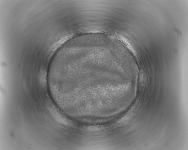 X0000090720394200708101557