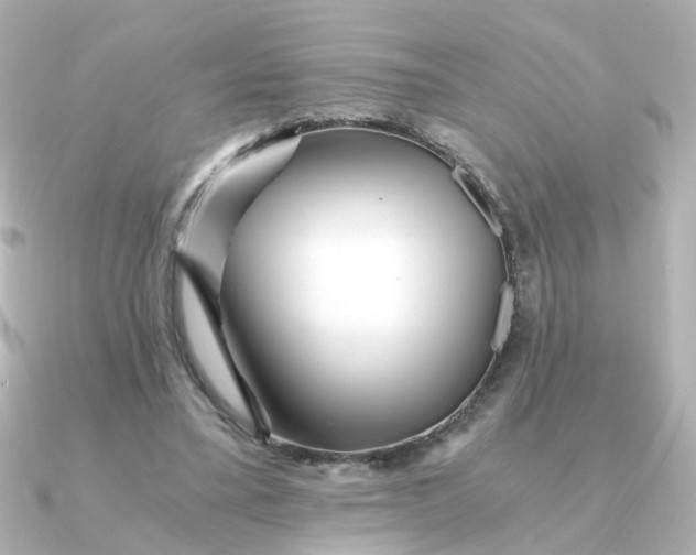 X0000090720395200708101557