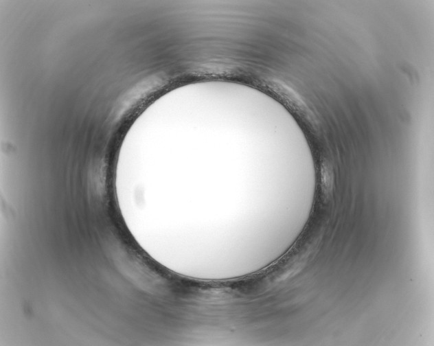 X0000090720396200708101557