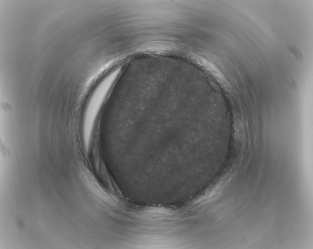 X0000090720399200708101557