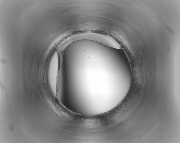 X0000090720400200708101557