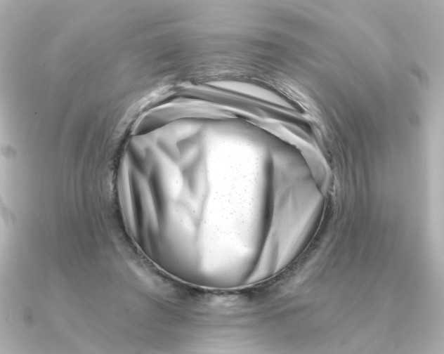 X0000090720401200708101557