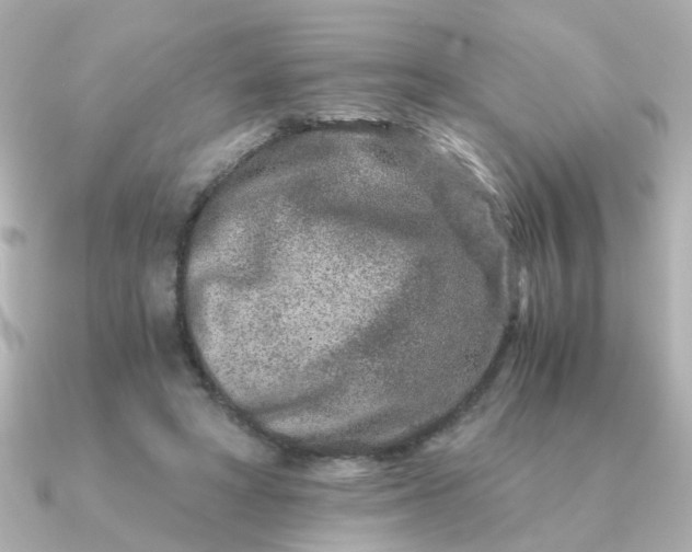 X0000090720402200708101557