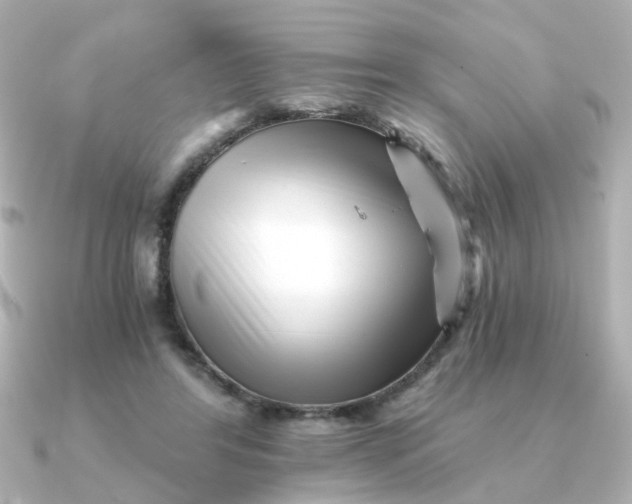 X0000090720404200708101557