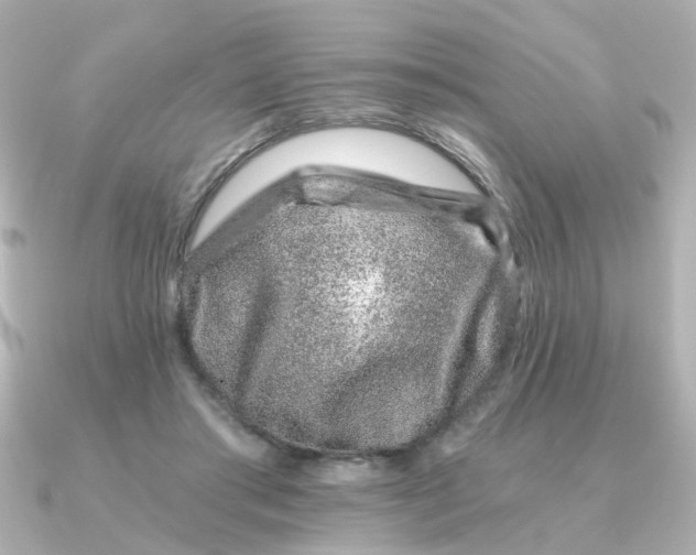 X0000090720405200708101557