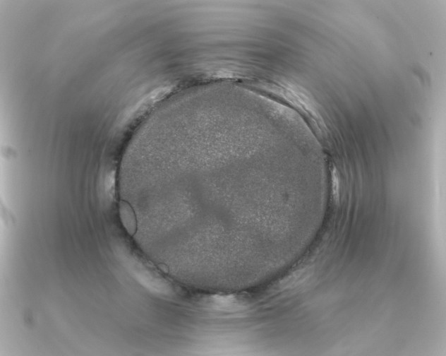 X0000090720406200708101557