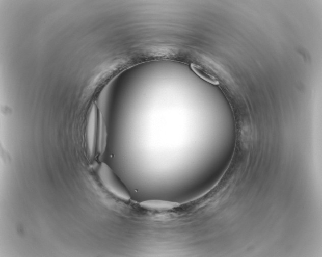 X0000090720407200708101557