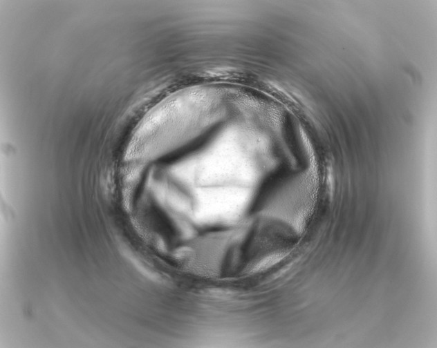 X0000090720408200708101557