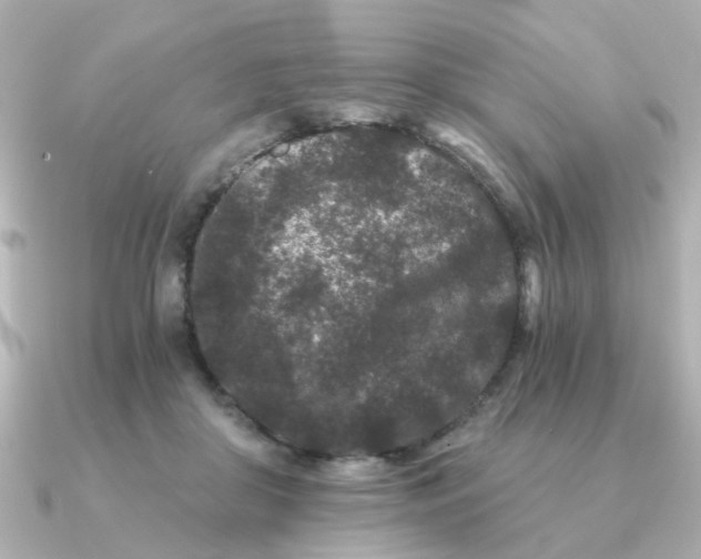 X0000090720410200708101557