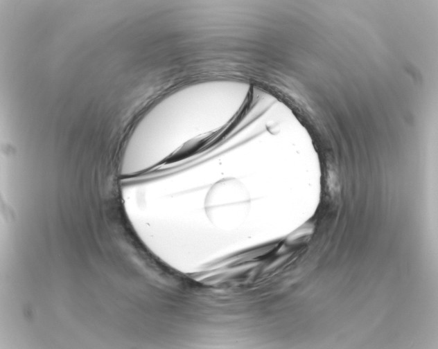 X0000090720411200708101557