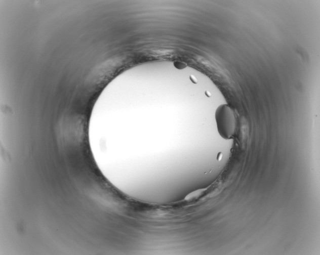 X0000090720412200708101557