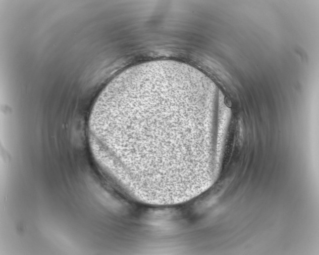 X0000090720414200708101557