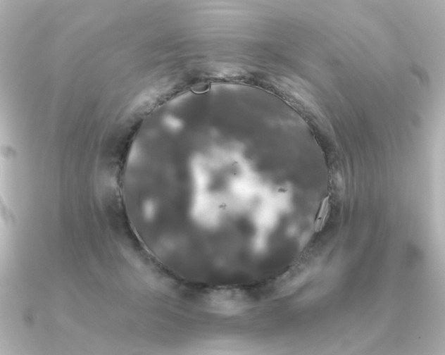 X0000090720415200708101557